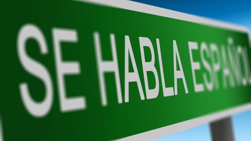 有道翻译怎么用?网页版与App端操作入门教程